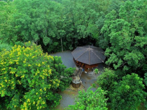 Hidden Treehouse in Khao Yai (8 PAX)